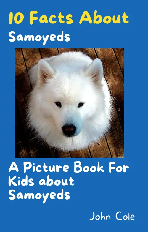 A Picture Book For Kids about Samoyeds. Meet Snowy, the smiling Samoyed!