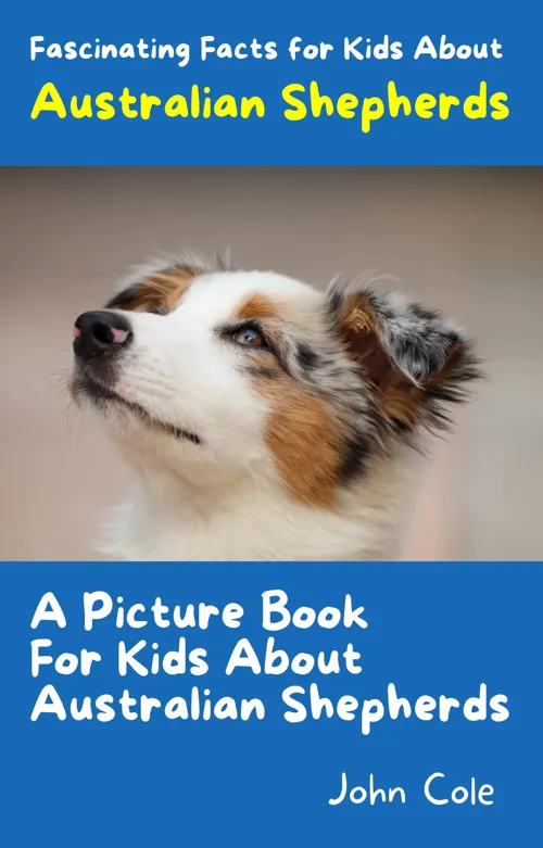 Fascinating Facts for Kids About Australian Shepherds