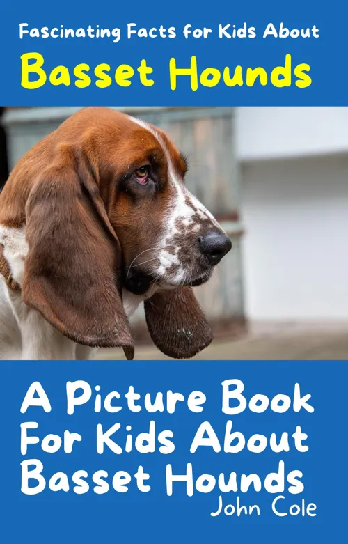 Fascinating Facts for Kids About Basset Hounds