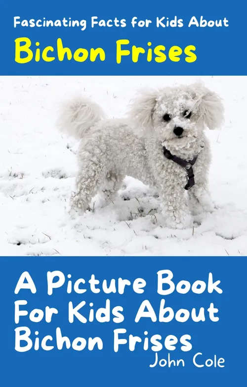 Fascinating Facts for Kids About Bichon Frises