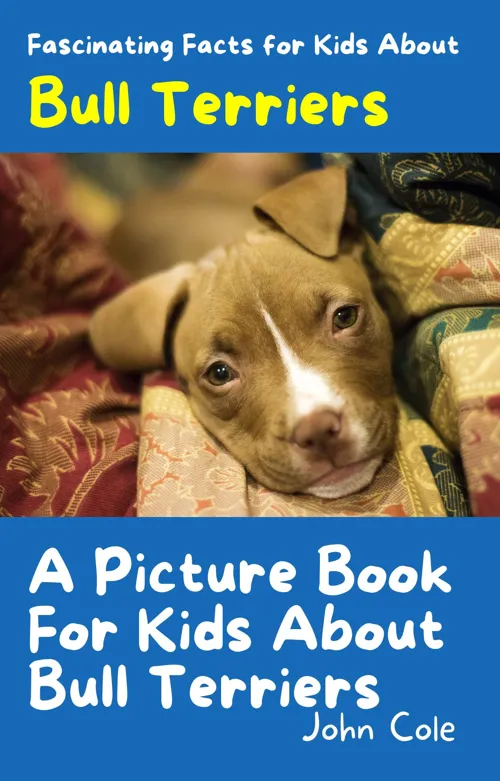 Fascinating Facts for Kids About Bull Terriers