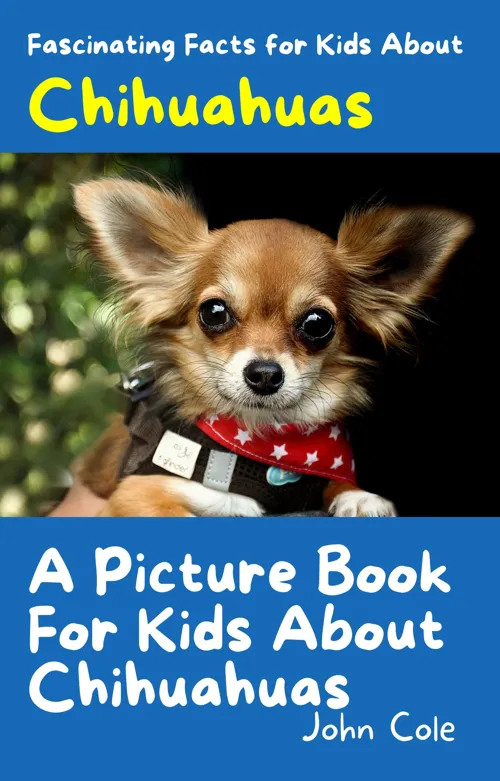 Fascinating Facts for Kids About Chihuahuas