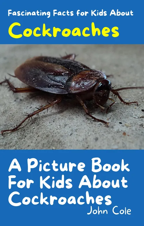 Fascinating Facts for Kids About Cockroaches