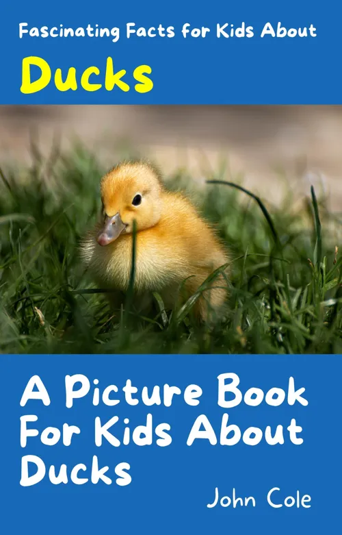 Fascinating Facts for Kids About Ducks