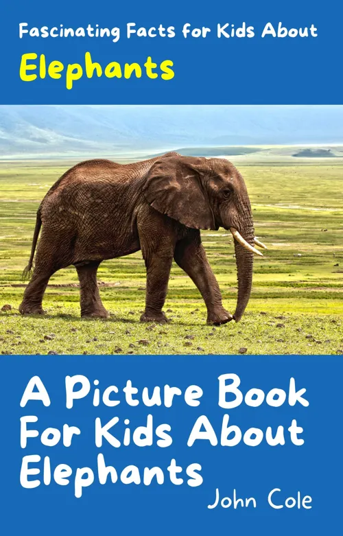 Fascinating Facts for Kids About Elephants