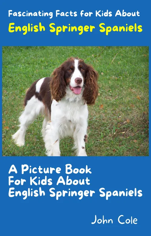 Fascinating Facts for Kids About English Springer Spaniels