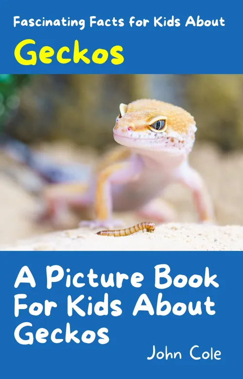 Fascinating Facts for Kids About Geckos