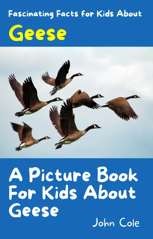 Fascinating Facts for Kids About Geese