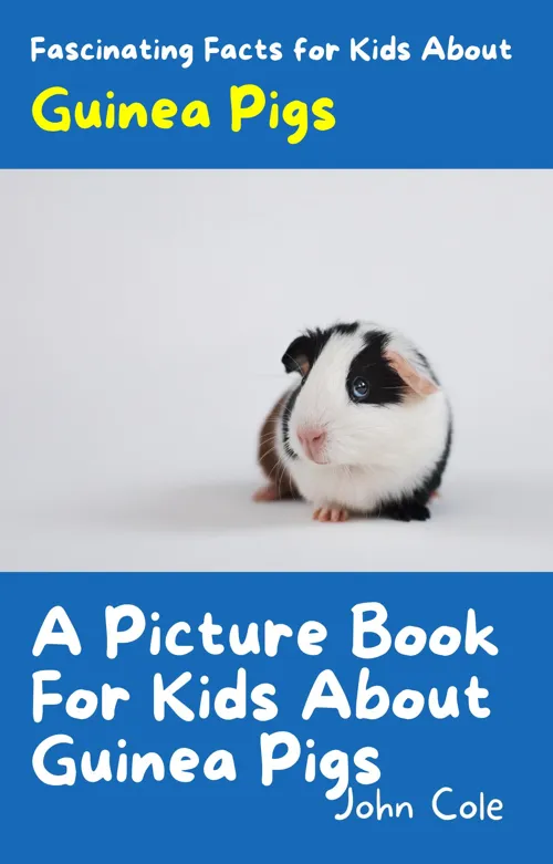 Fascinating Facts for Kids About Guinea Pigs