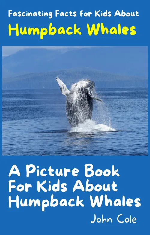 Fascinating Facts for Kids About Humpback Whales