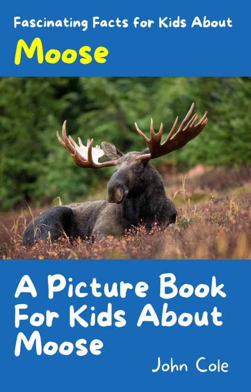 Fascinating Facts for Kids About Moose