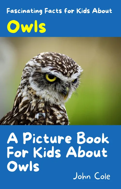 Fascinating Facts for Kids About Owls