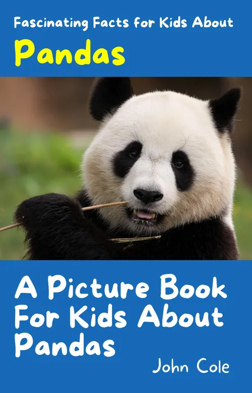 Fascinating Facts for Kids About Pandas