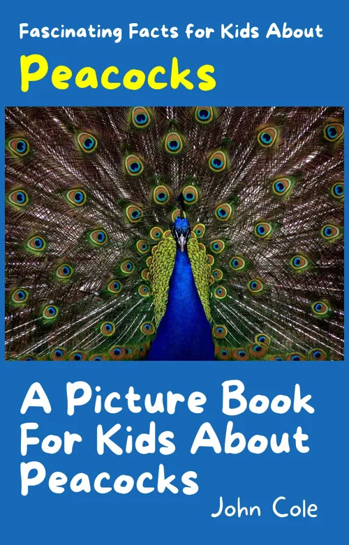 Fascinating Facts for Kids About Peacocks