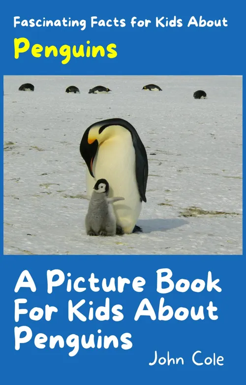 Fascinating Facts for Kids About Penguins