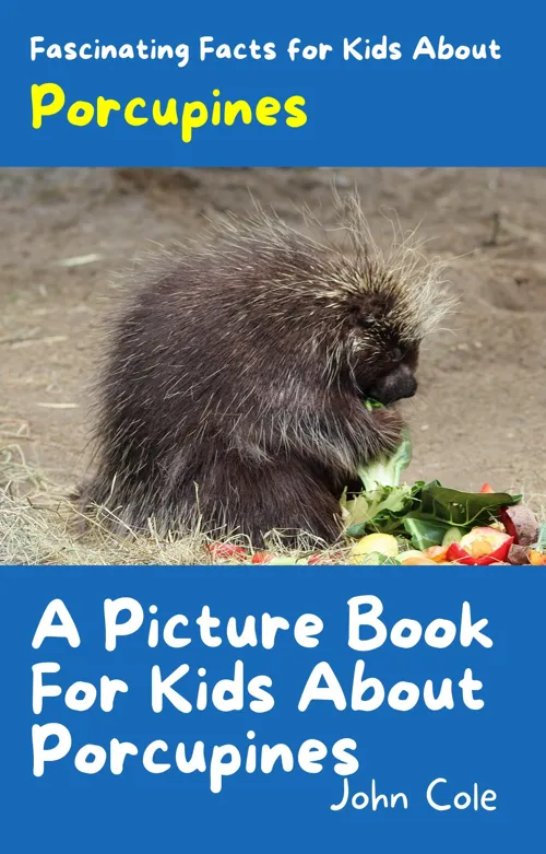 Fascinating Facts for Kids About Porcupines