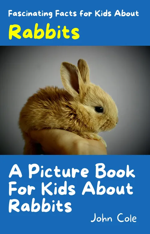 Fascinating Facts for Kids About Rabbits