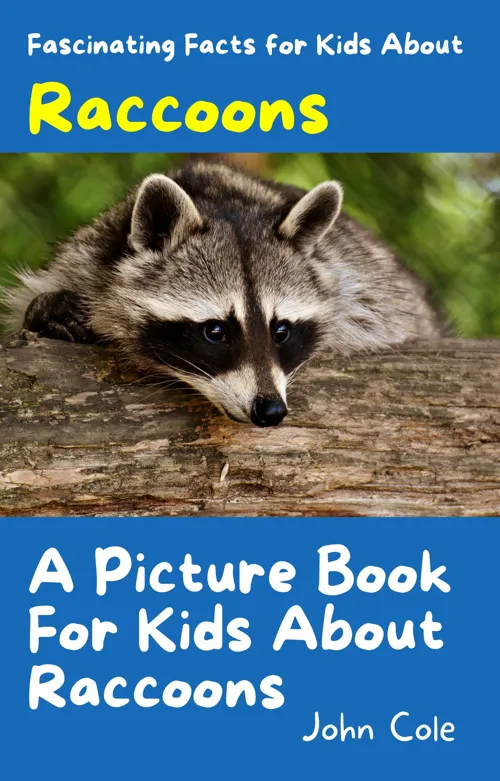 Fascinating Facts for Kids About Raccoons