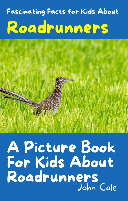 Fascinating Facts for Kids About Roadrunners