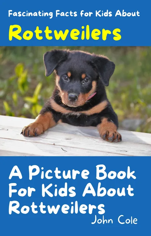 Fascinating Facts for Kids About Rottweilers