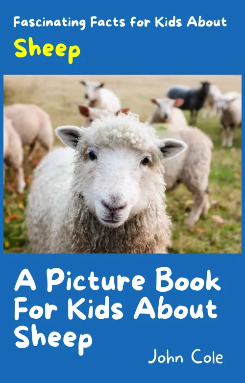 Fascinating Facts for Kids About Sheep