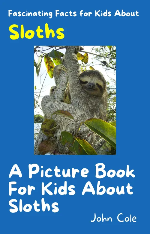 A Picture Book for Kids About Sloths Fascinating Facts for Kids About Sloths