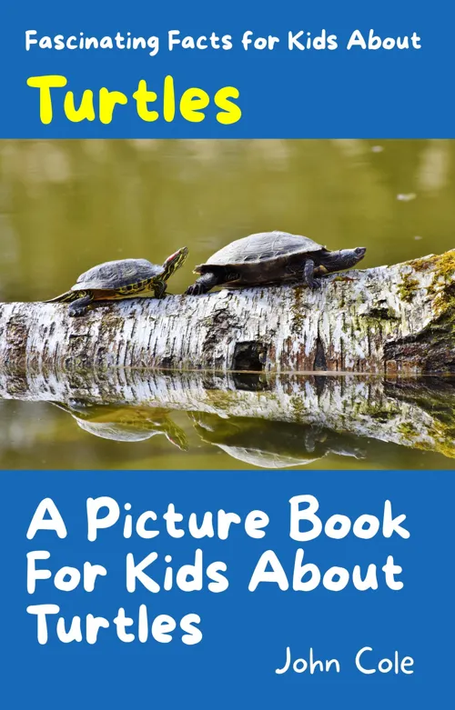 Fascinating Facts for Kids About Turtles