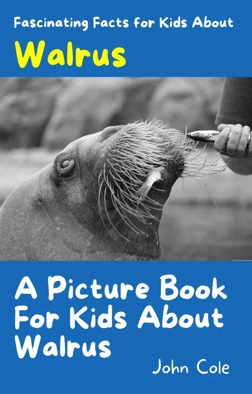 Fascinating Facts for Kids About Walrus