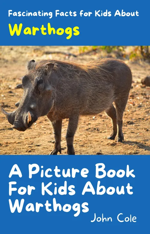 Fascinating Facts for Kids About Warthogs