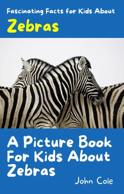 Fascinating Facts for Kids About Zebras